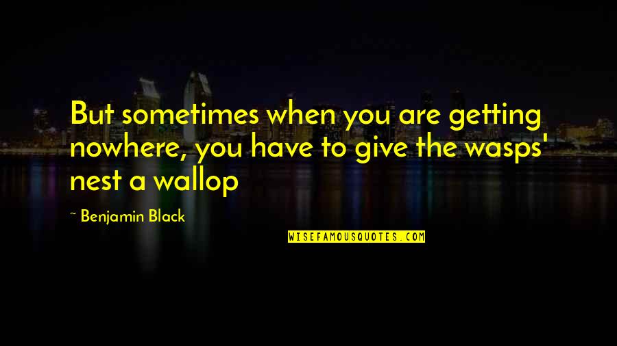 Annoula Ventures Quotes By Benjamin Black: But sometimes when you are getting nowhere, you