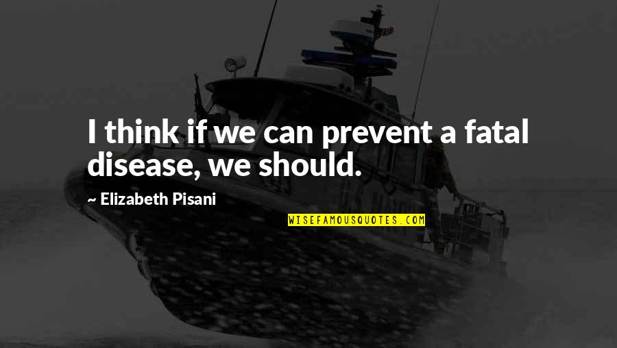 Announcment Quotes By Elizabeth Pisani: I think if we can prevent a fatal