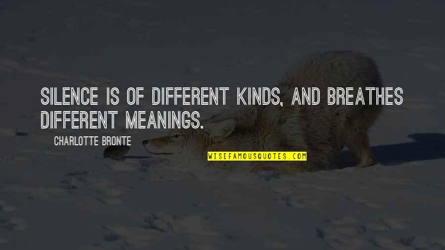 Annoyed At Boyfriend Quotes By Charlotte Bronte: Silence is of different kinds, and breathes different
