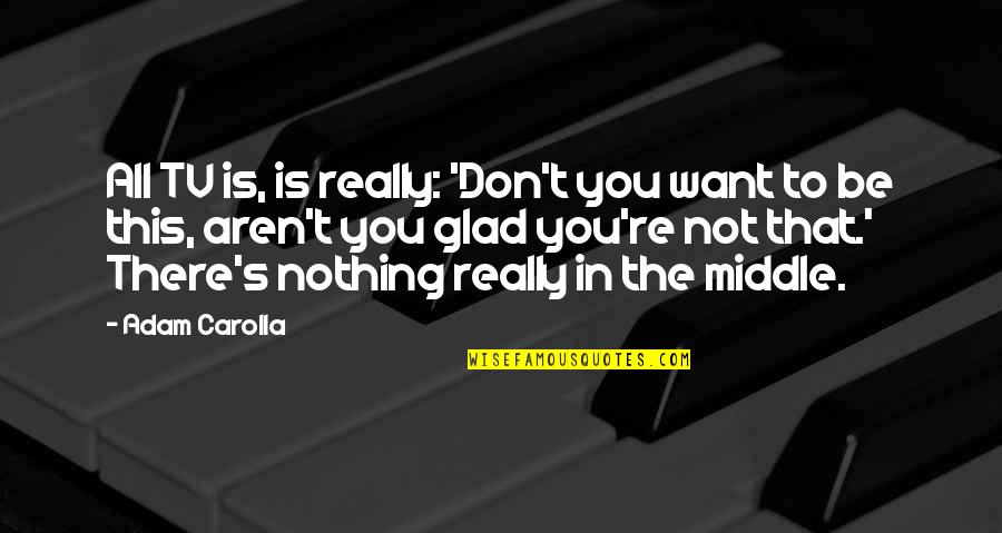 Annulus Fibrosus Quotes By Adam Carolla: All TV is, is really: 'Don't you want