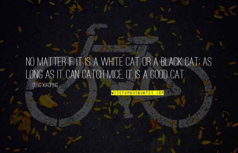 Anohana Jintan Quotes By Deng Xiaoping: No matter if it is a white cat