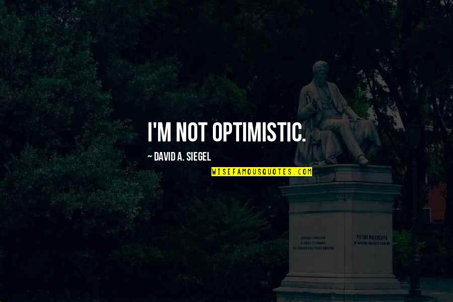 Anointed Man Quotes By David A. Siegel: I'm not optimistic.