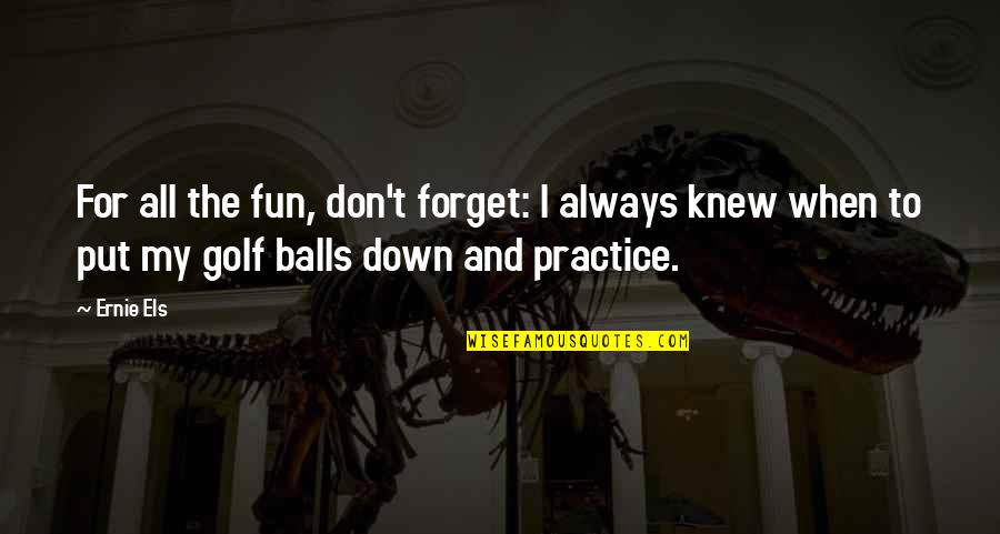 Anois Studio Quotes By Ernie Els: For all the fun, don't forget: I always Anois Studio Quotes By Ernie Els: For all the fun, don't forget: I always