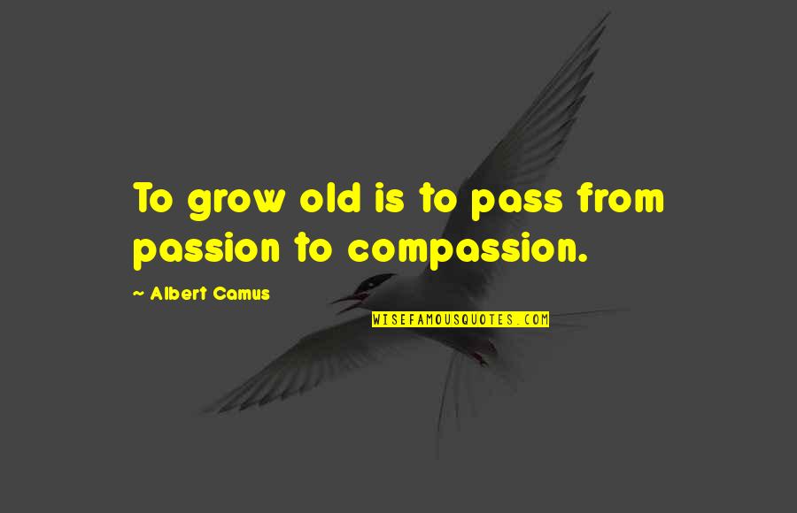 Anokhi Online Quotes By Albert Camus: To grow old is to pass from passion