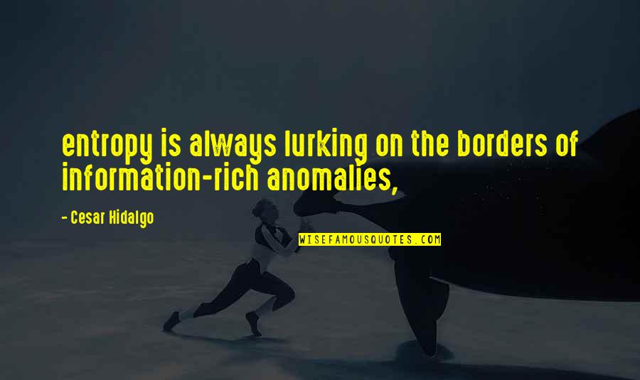 Anomalies Quotes By Cesar Hidalgo: entropy is always lurking on the borders of