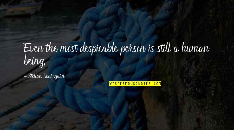 Anomynity Quotes By Stellan Skarsgard: Even the most despicable person is still a