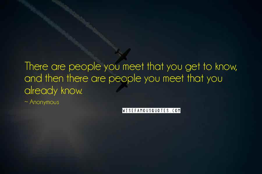 Anonymous quotes: There are people you meet that you get to know, and then there are people you meet that you already know.