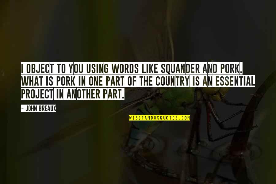 Another Country Quotes By John Breaux: I object to you using words like squander Another Country Quotes By John Breaux: I object to you using words like squander