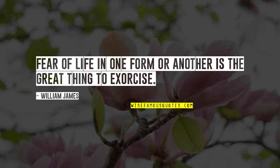 Another Life Quotes By William James: Fear of life in one form or another