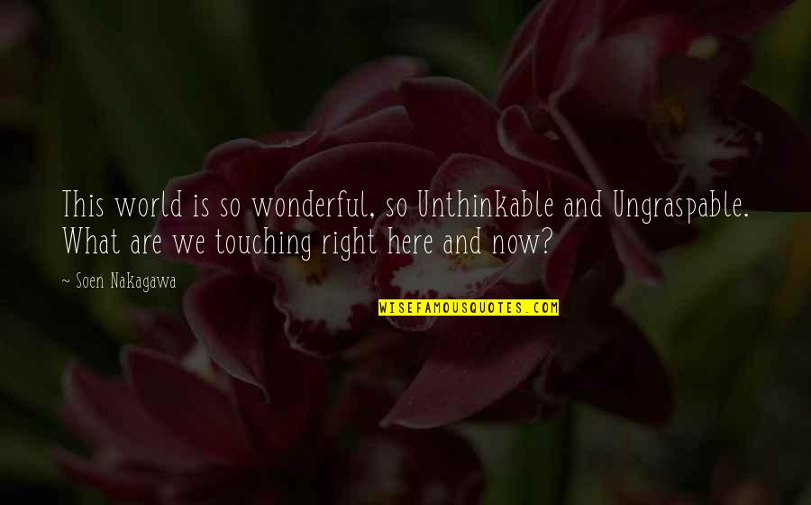 Another Lifetime Quotes By Soen Nakagawa: This world is so wonderful, so Unthinkable and