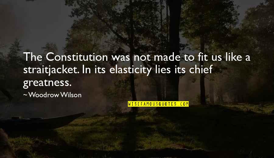 Another Realm Quotes By Woodrow Wilson: The Constitution was not made to fit us