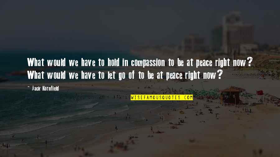 Another Year Coming To An End Quotes By Jack Kornfield: What would we have to hold in compassion