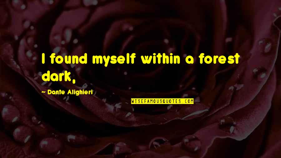 Anotimpuri In Engleza Quotes By Dante Alighieri: I found myself within a forest dark,