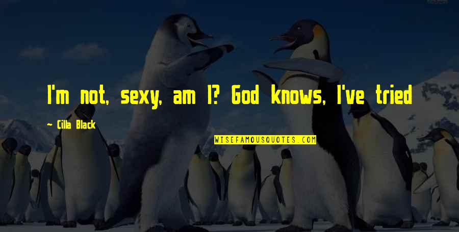 Anovelwritingconcept Quotes By Cilla Black: I'm not, sexy, am I? God knows, I've