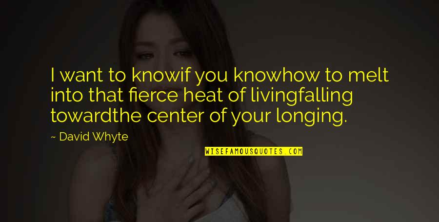 Anreisemeldung Quotes By David Whyte: I want to knowif you knowhow to melt