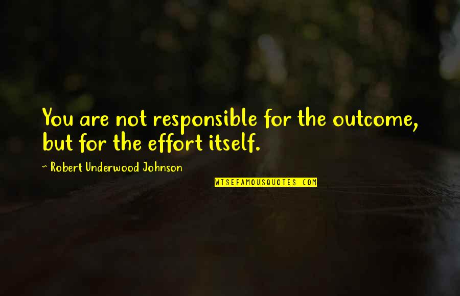 Anria Galang Quotes By Robert Underwood Johnson: You are not responsible for the outcome, but