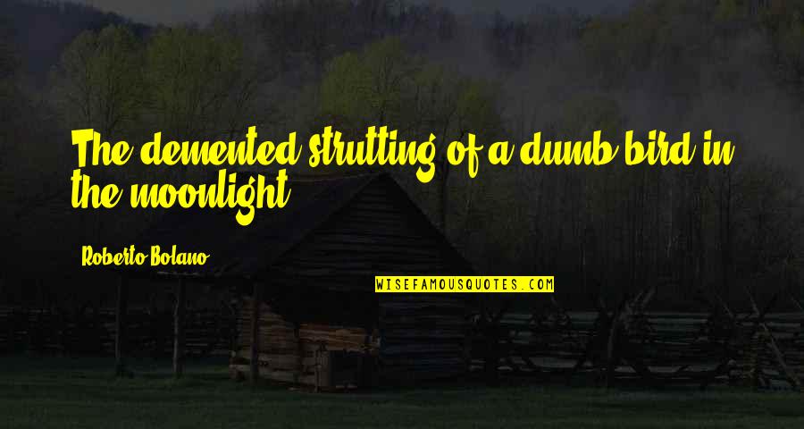 Ansamblu Rezidential Cluj Quotes By Roberto Bolano: The demented strutting of a dumb bird in Ansamblu Rezidential Cluj Quotes By Roberto Bolano: The demented strutting of a dumb bird in