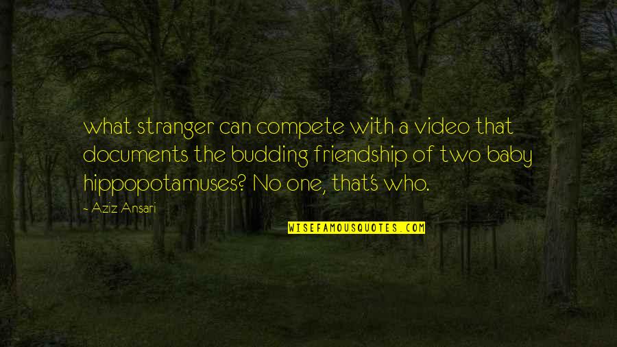 Ansari Quotes By Aziz Ansari: what stranger can compete with a video that