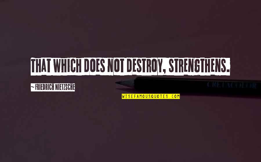 Anscombe Dataset Quotes By Friedrich Nietzsche: That which does not destroy, strengthens.