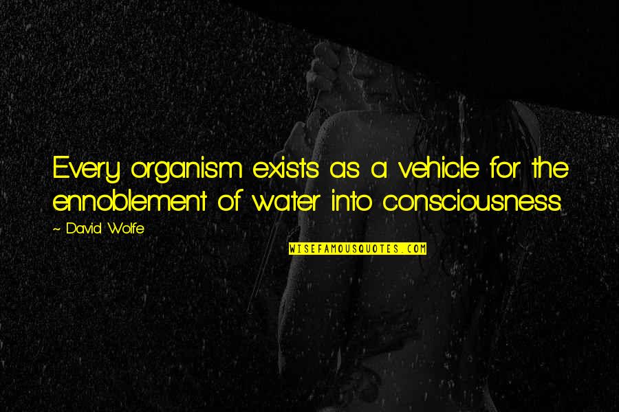 Anseio Quotes By David Wolfe: Every organism exists as a vehicle for the