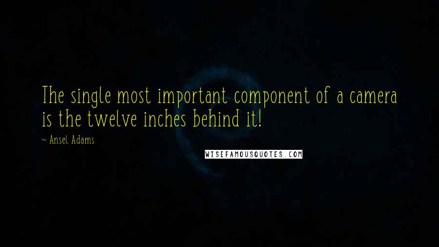 Ansel Adams quotes: The single most important component of a camera is the twelve inches behind it!