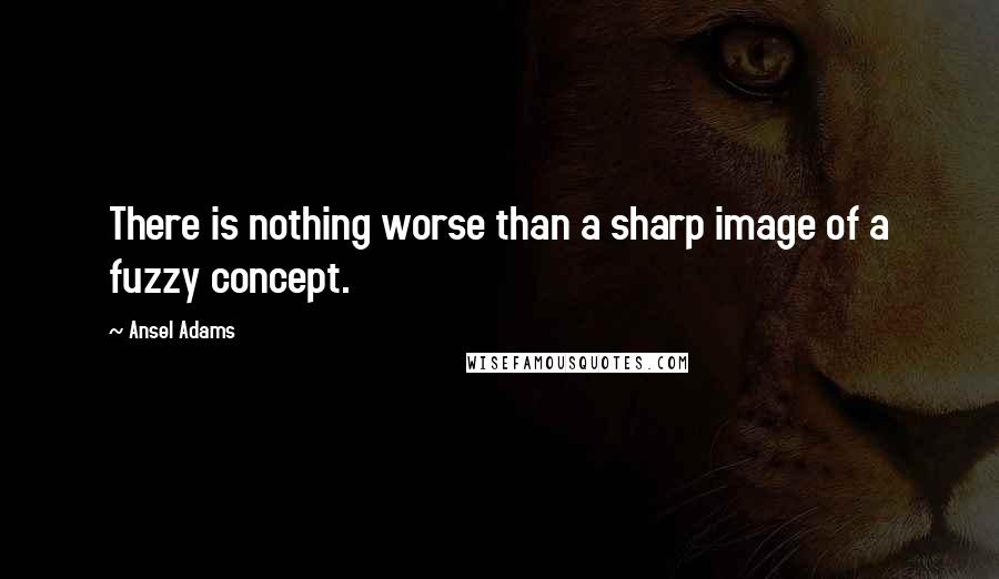 Ansel Adams quotes: There is nothing worse than a sharp image of a fuzzy concept.