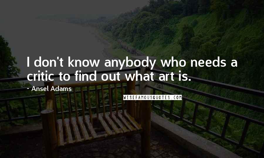 Ansel Adams quotes: I don't know anybody who needs a critic to find out what art is.