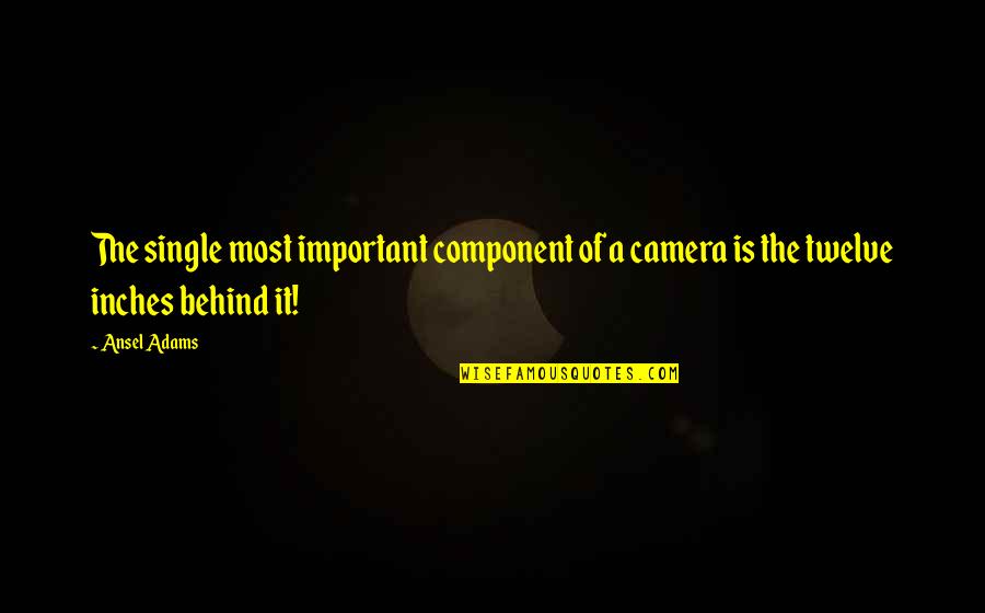 Ansel Quotes By Ansel Adams: The single most important component of a camera