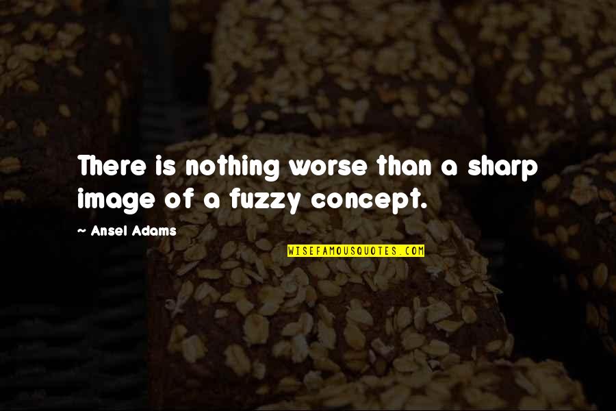 Ansel Quotes By Ansel Adams: There is nothing worse than a sharp image