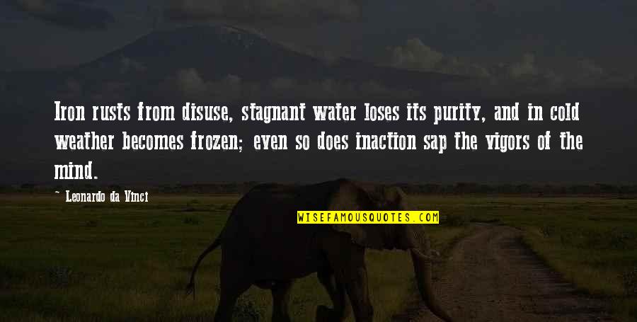 Anselms Theory Quotes By Leonardo Da Vinci: Iron rusts from disuse, stagnant water loses its Anselms Theory Quotes By Leonardo Da Vinci: Iron rusts from disuse, stagnant water loses its