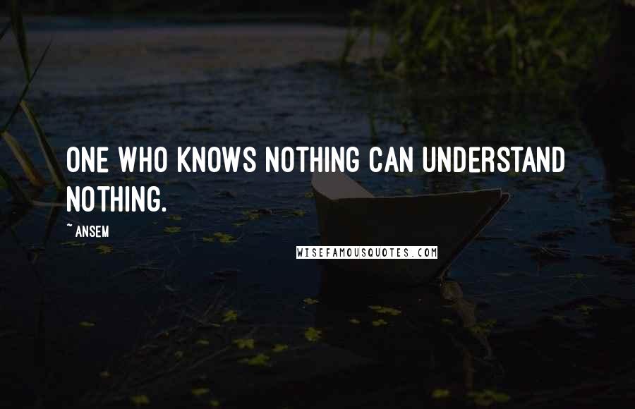 Ansem quotes: One who knows nothing can understand nothing.