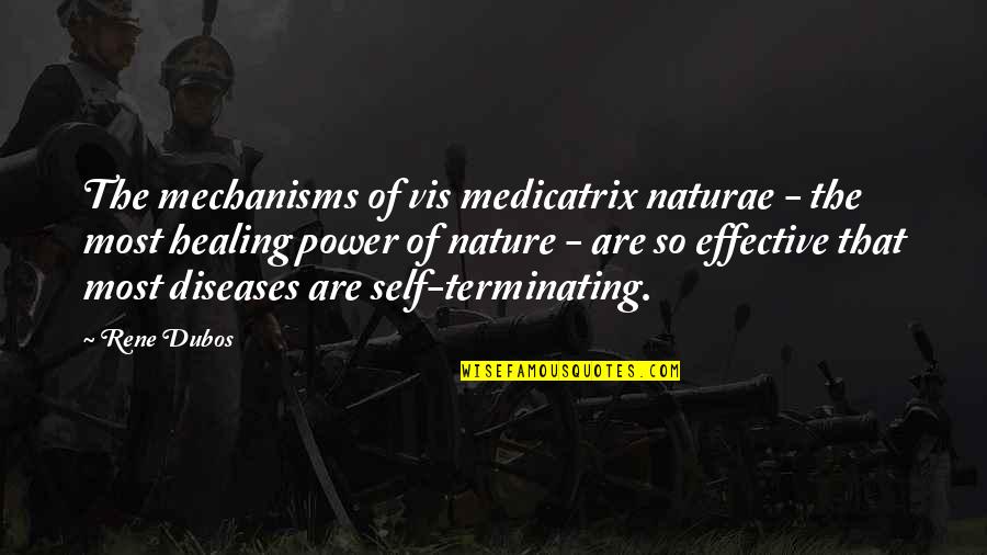 Anshu Jain Quotes By Rene Dubos: The mechanisms of vis medicatrix naturae - the