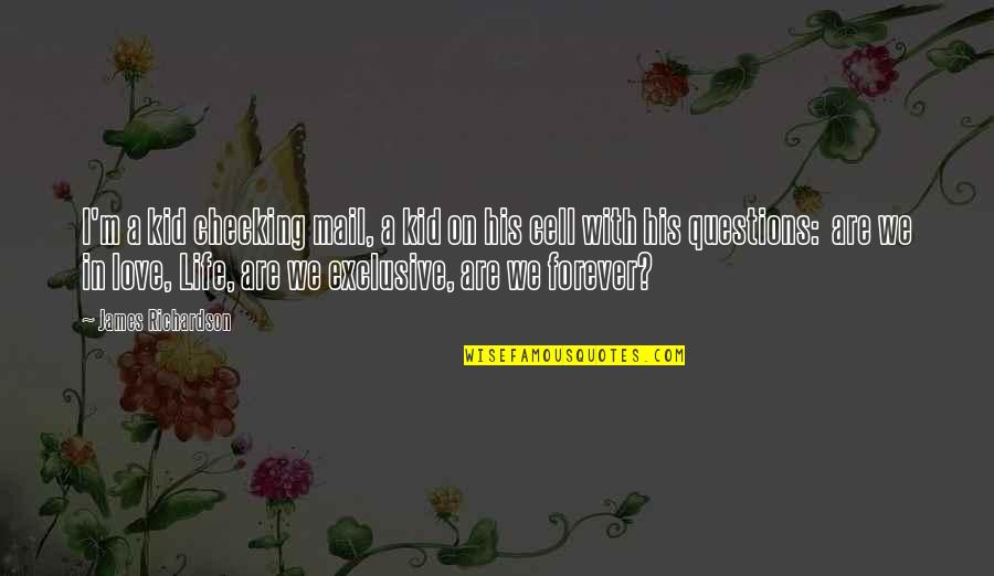 Ansigtsvisir Quotes By James Richardson: I'm a kid checking mail, a kid on Ansigtsvisir Quotes By James Richardson: I'm a kid checking mail, a kid on
