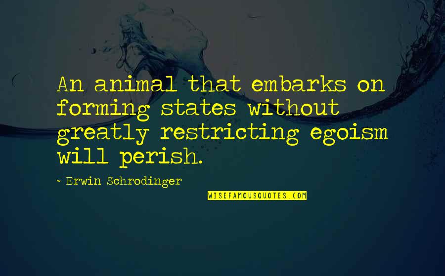 Ansky Dybbuk Quotes By Erwin Schrodinger: An animal that embarks on forming states without