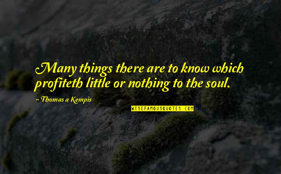 Anstandslos Quotes By Thomas A Kempis: Many things there are to know which profiteth