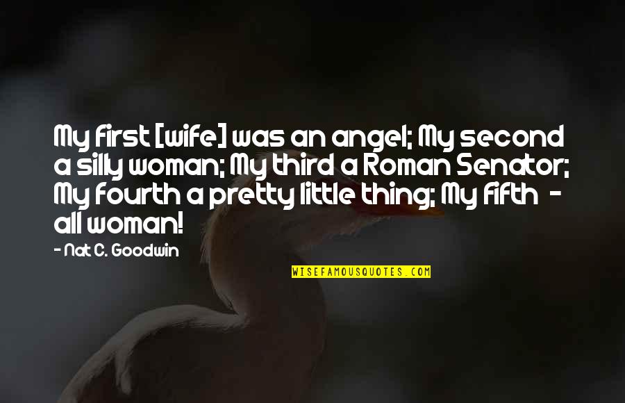 Anstreben Synonym Quotes By Nat C. Goodwin: My first [wife] was an angel; My second