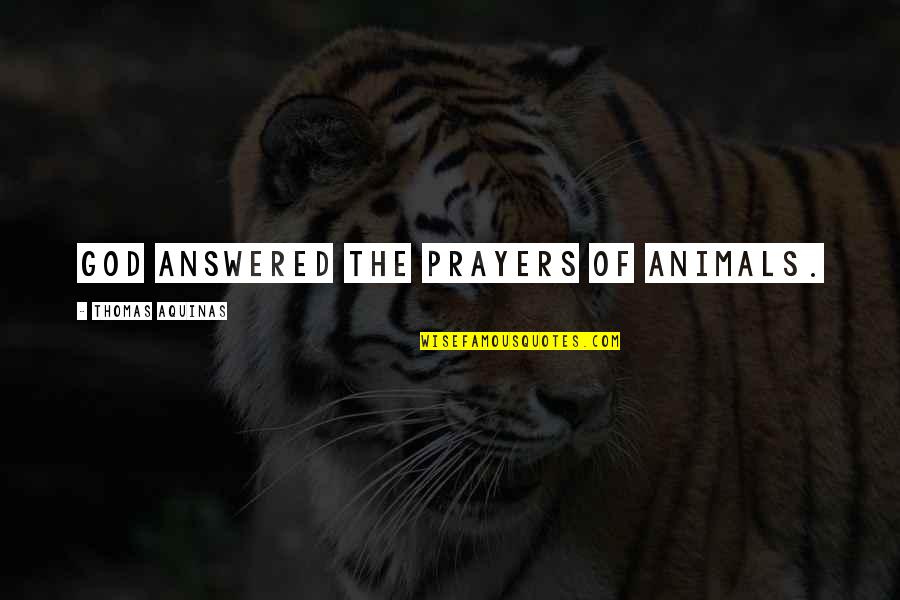 Answered Prayers Quotes By Thomas Aquinas: God answered the prayers of animals. Answered Prayers Quotes By Thomas Aquinas: God answered the prayers of animals.