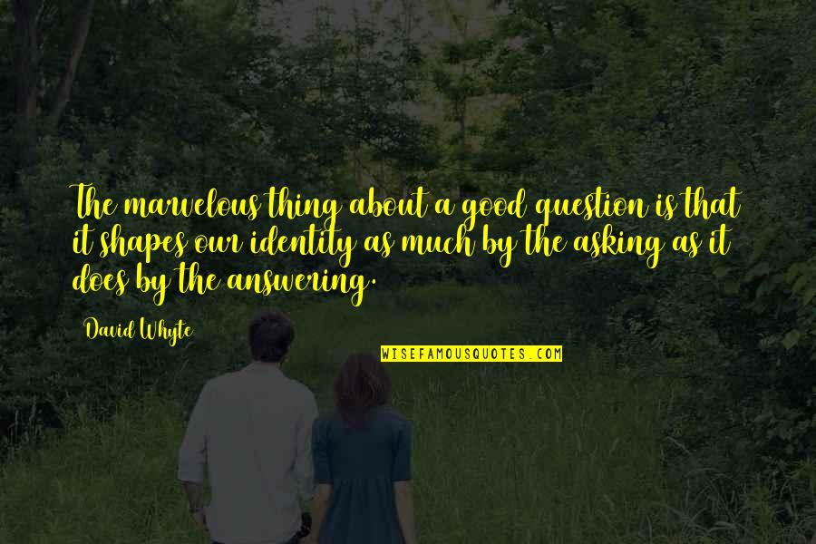 Answering A Question With A Question Quotes By David Whyte: The marvelous thing about a good question is