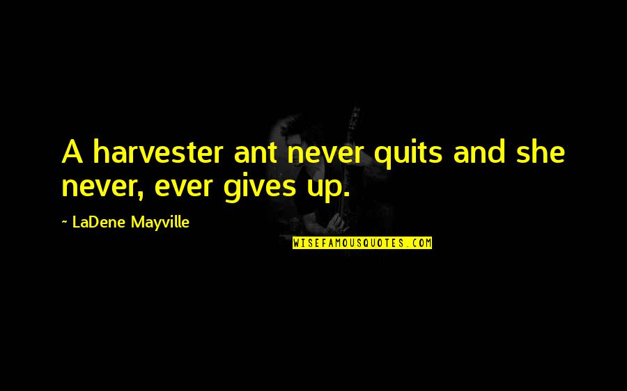 Ant Inspirational Quotes By LaDene Mayville: A harvester ant never quits and she never,