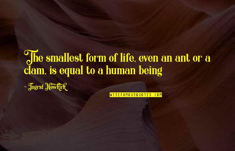 Ant Quotes By Ingrid Newkirk: The smallest form of life, even an ant