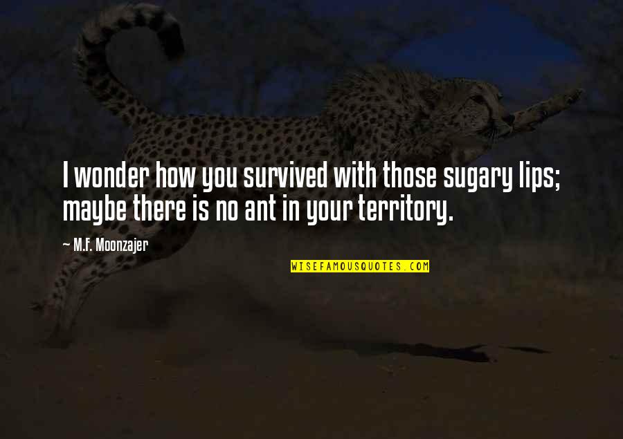 Ant Quotes By M.F. Moonzajer: I wonder how you survived with those sugary