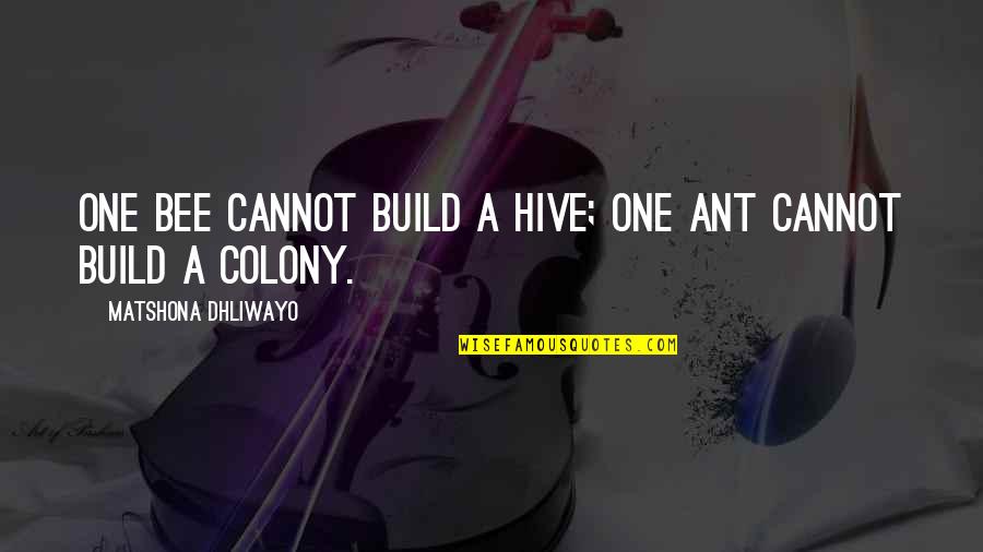 Ant Quotes By Matshona Dhliwayo: One bee cannot build a hive; one ant