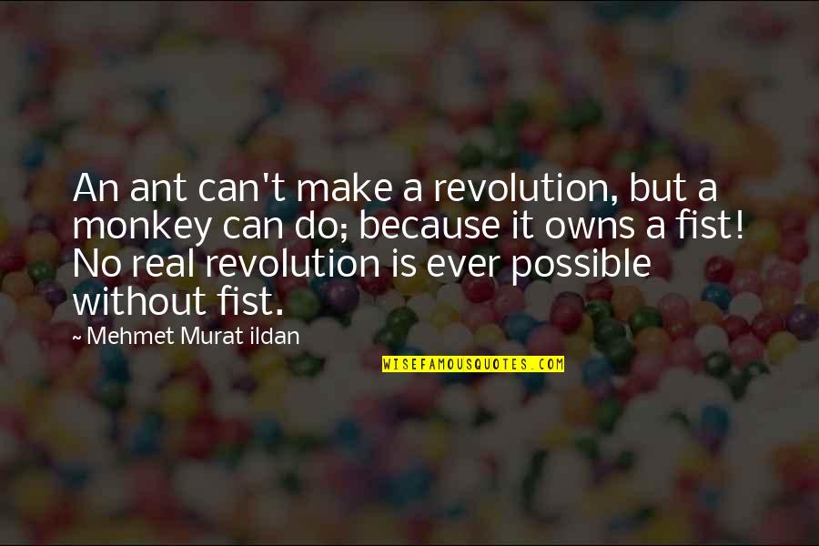 Ant Quotes By Mehmet Murat Ildan: An ant can't make a revolution, but a