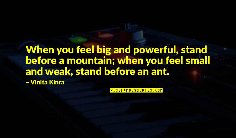 Ant Quotes By Vinita Kinra: When you feel big and powerful, stand before