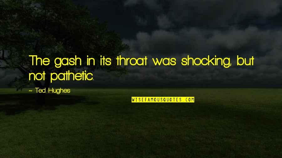Antacid Medication Quotes By Ted Hughes: The gash in its throat was shocking, but