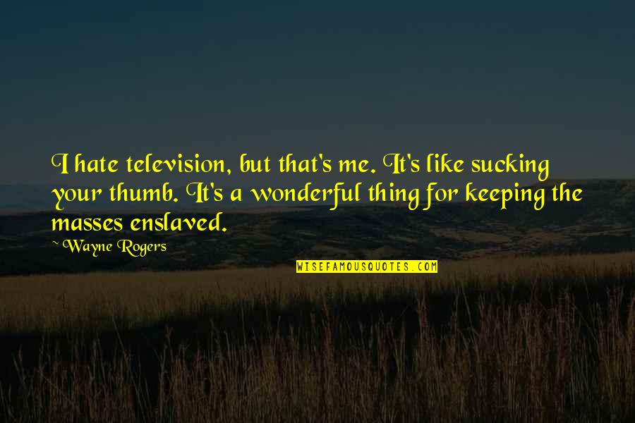 Antagonismo Fisiologico Quotes By Wayne Rogers: I hate television, but that's me. It's like