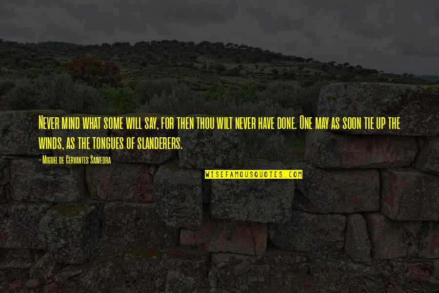 Antagonizing Quotes By Miguel De Cervantes Saavedra: Never mind what some will say, for then