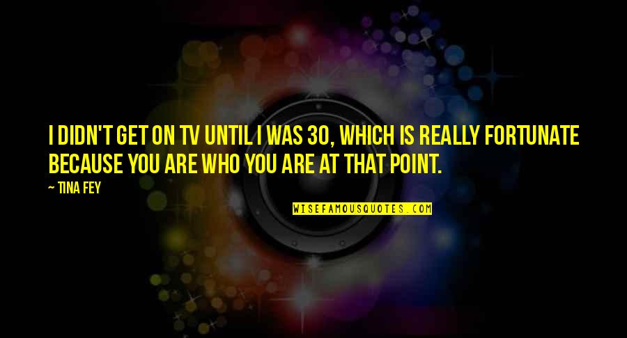 Antavius Mckinnis Quotes By Tina Fey: I didn't get on TV until I was