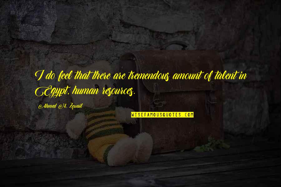 Anteayer Danilo Quotes By Ahmed H. Zewail: I do feel that there are tremendous amount