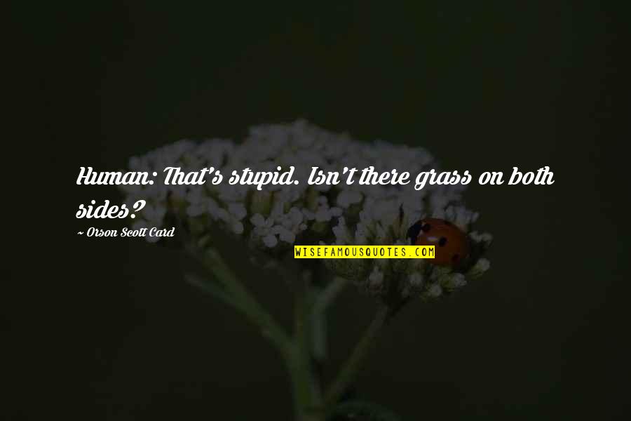 Anteflexion Quotes By Orson Scott Card: Human: That's stupid. Isn't there grass on both Anteflexion Quotes By Orson Scott Card: Human: That's stupid. Isn't there grass on both